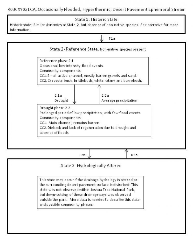 Model diagram