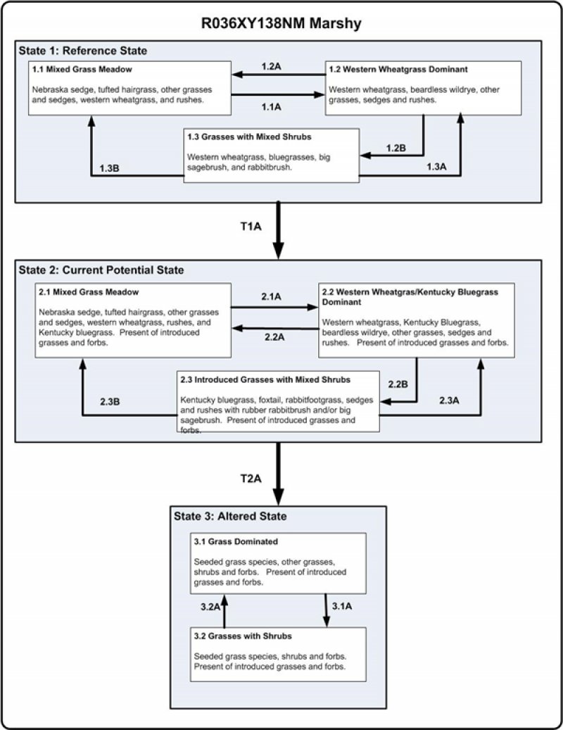 Model diagram