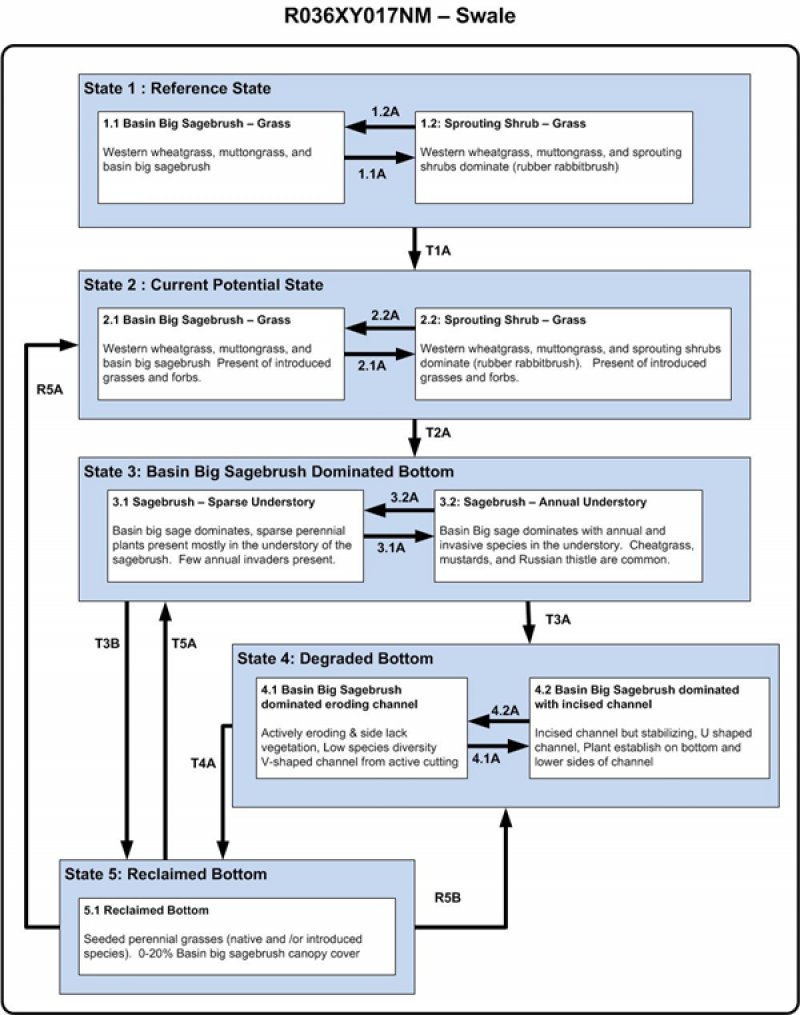 Model diagram
