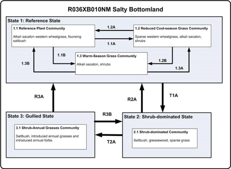 Model diagram