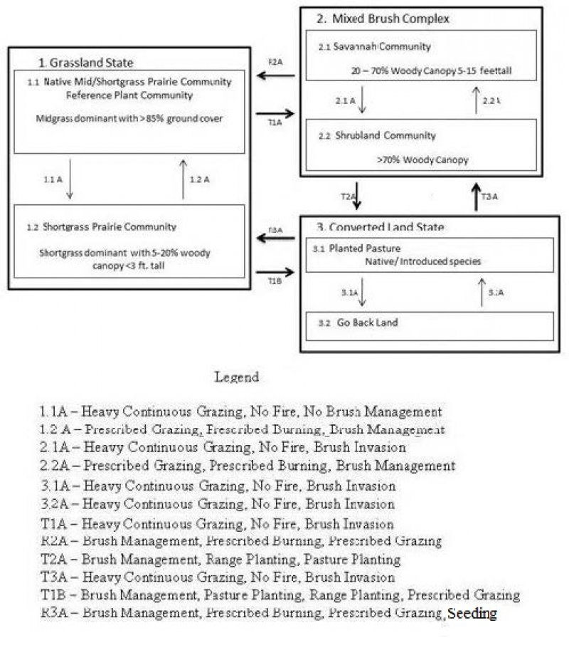 Model diagram