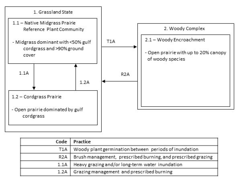 Model diagram