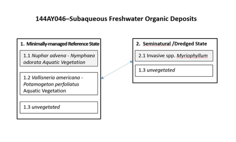 Model diagram