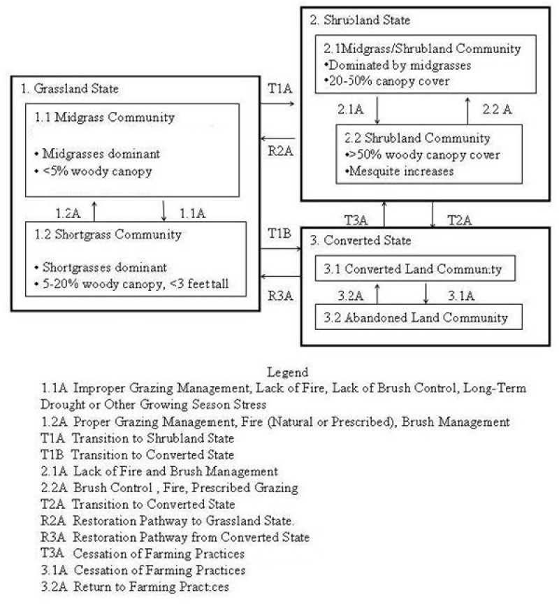 Model diagram