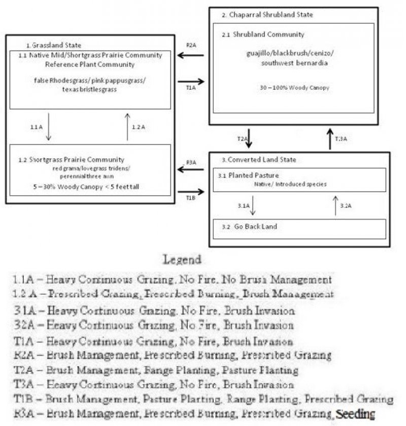 Model diagram