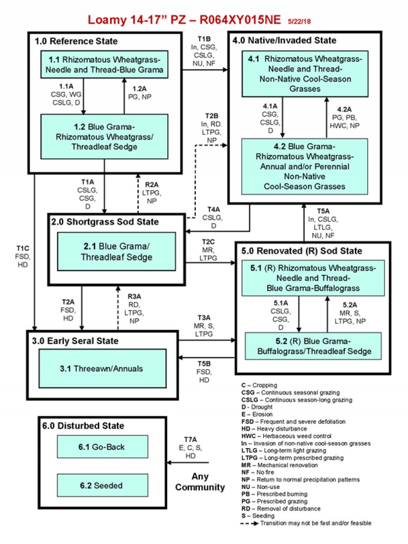 Model diagram