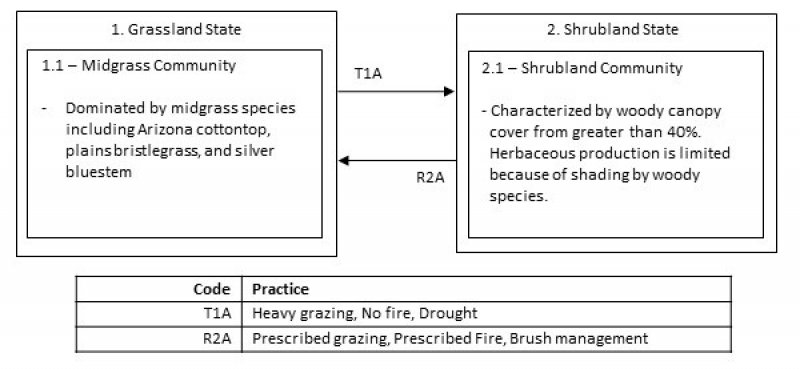 Model diagram