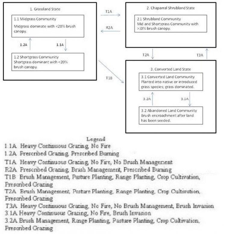 Model diagram