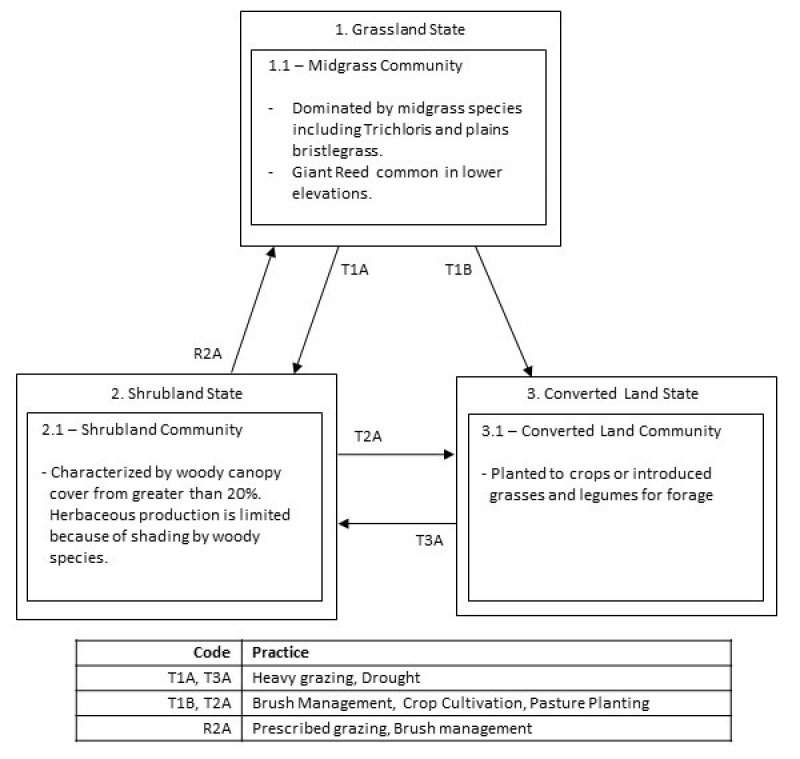 Model diagram