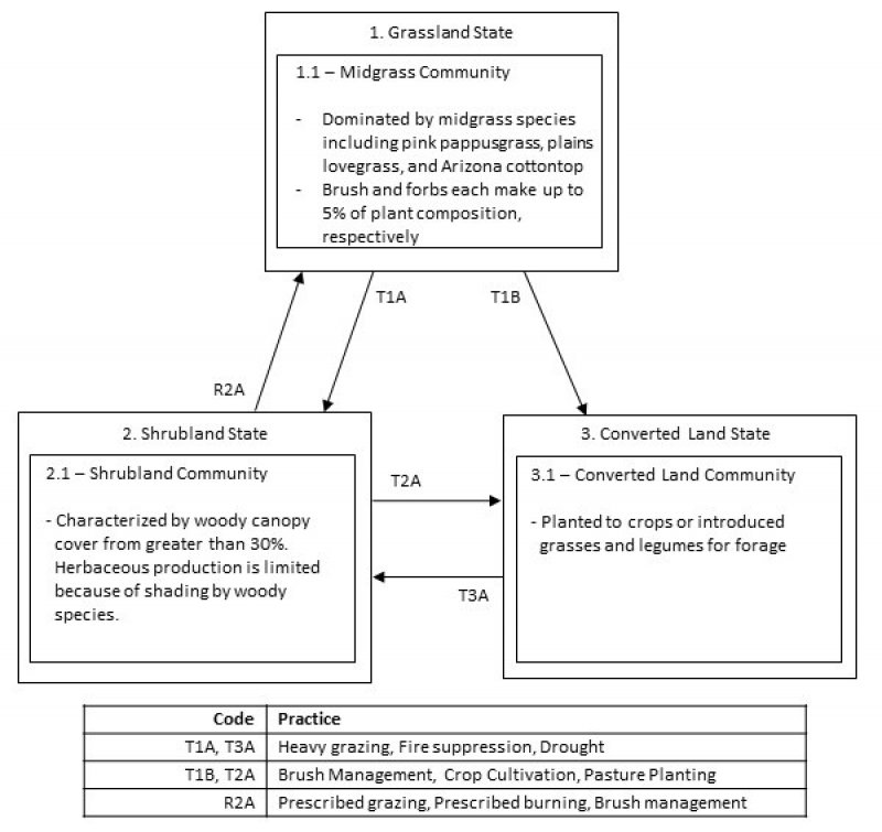Model diagram