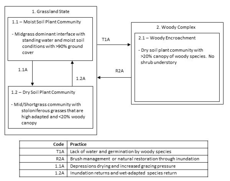 Model diagram