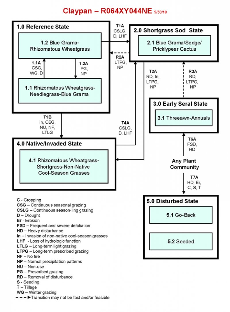 Model diagram