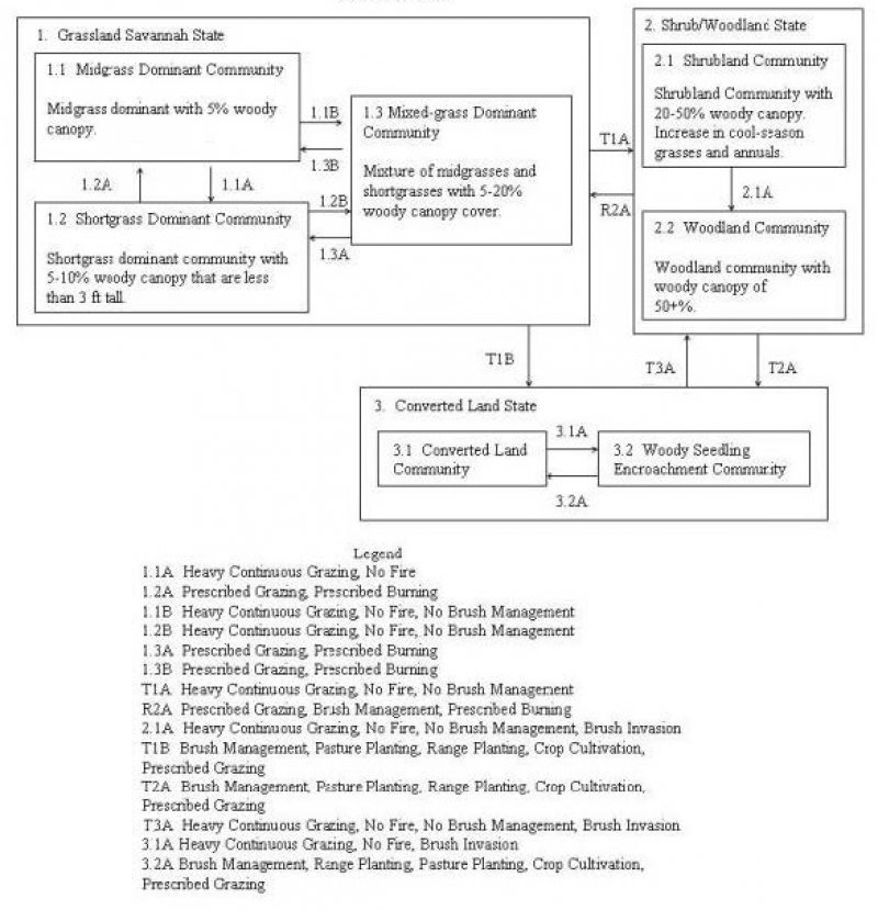 Model diagram