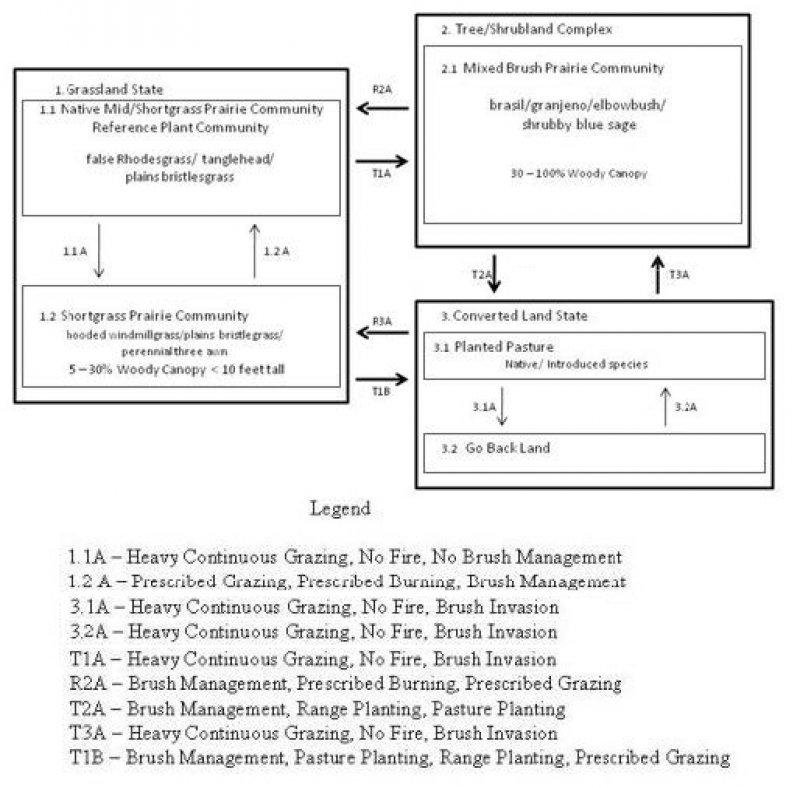 Model diagram