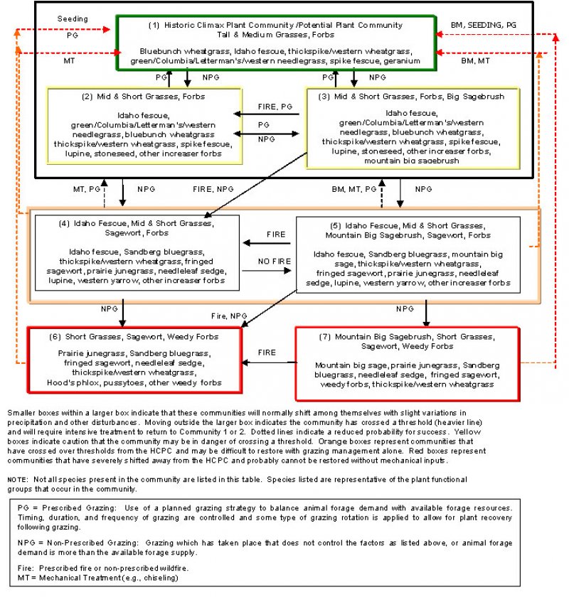 Model diagram