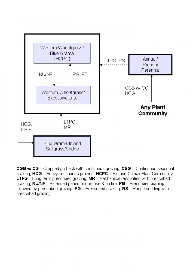 Model diagram