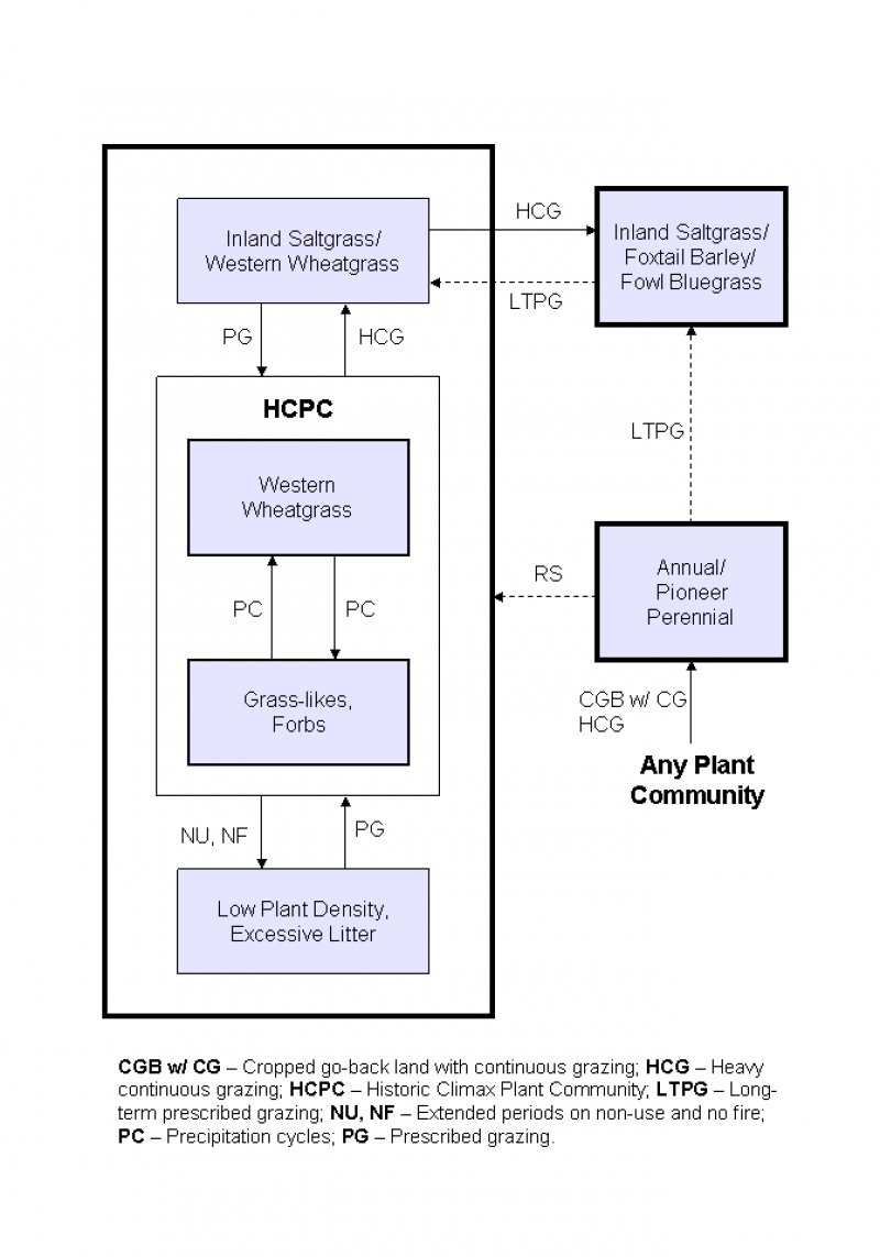 Model diagram