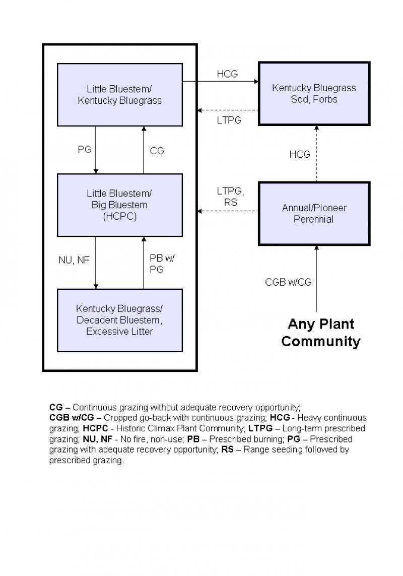 Model diagram