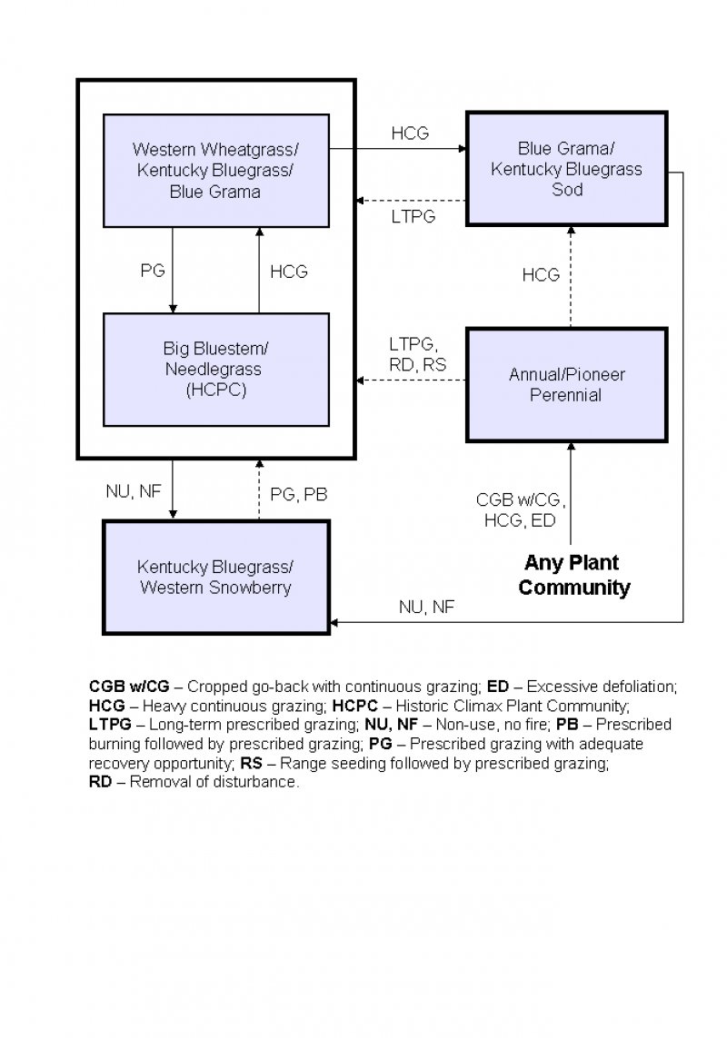 Model diagram