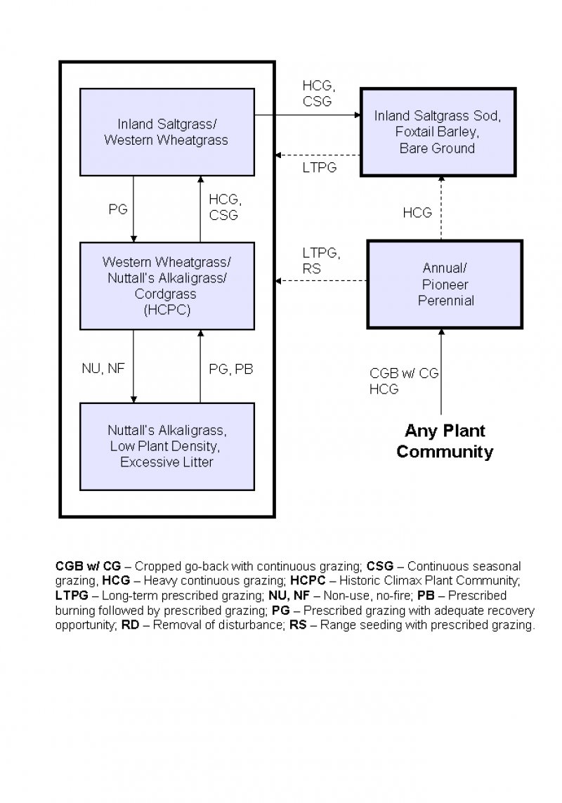 Model diagram