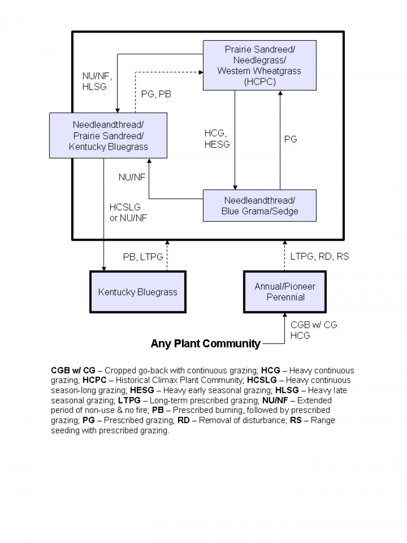 Model diagram