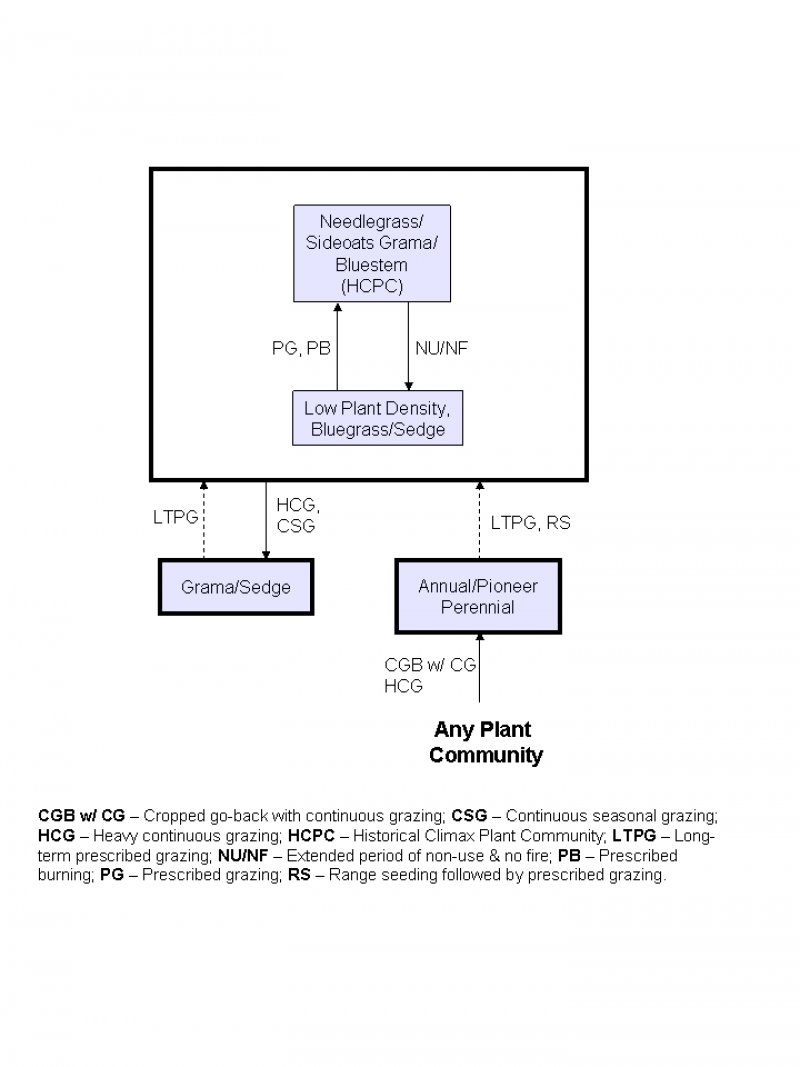 Model diagram