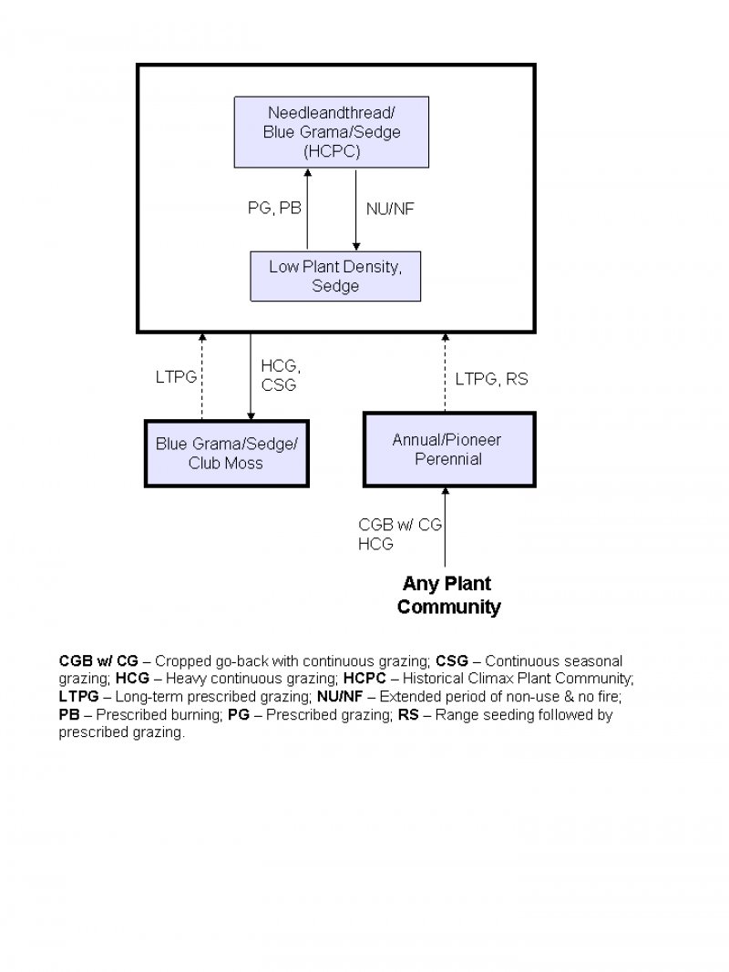 Model diagram