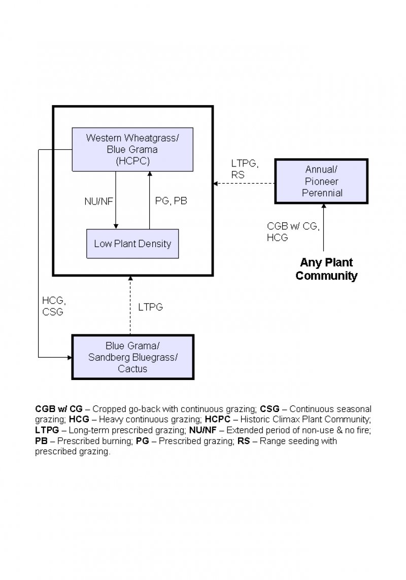 Model diagram