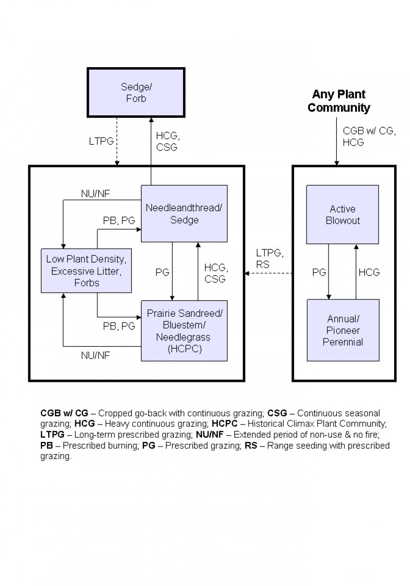 Model diagram