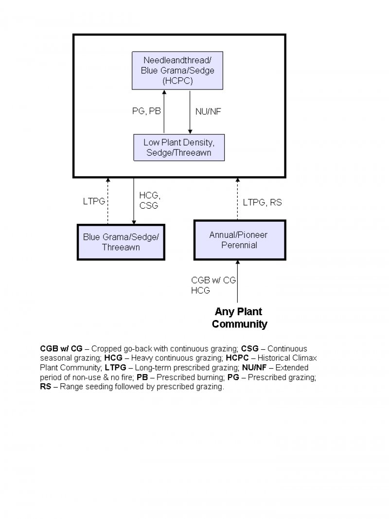 Model diagram