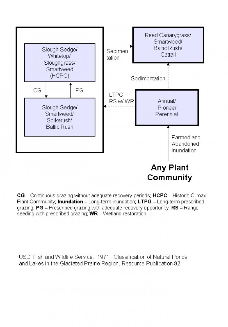 Model diagram