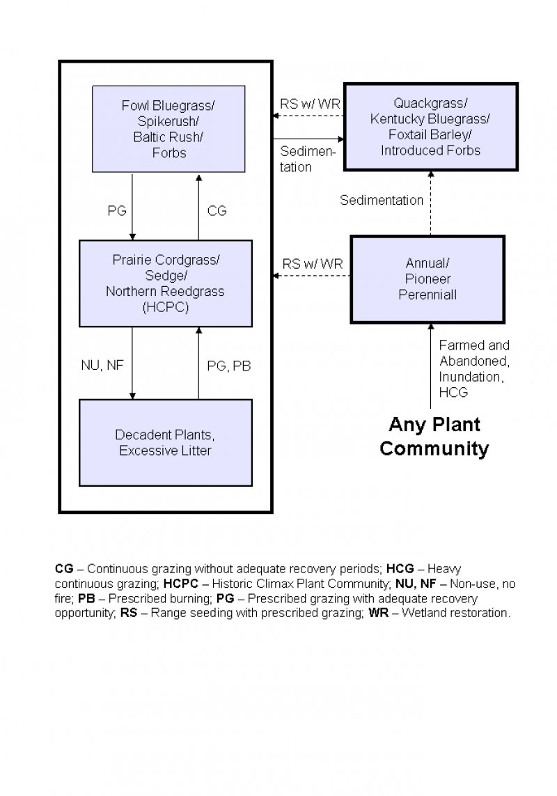 Model diagram