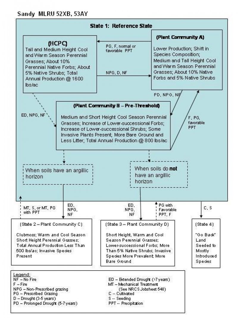 Model diagram