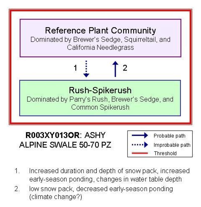 Model diagram