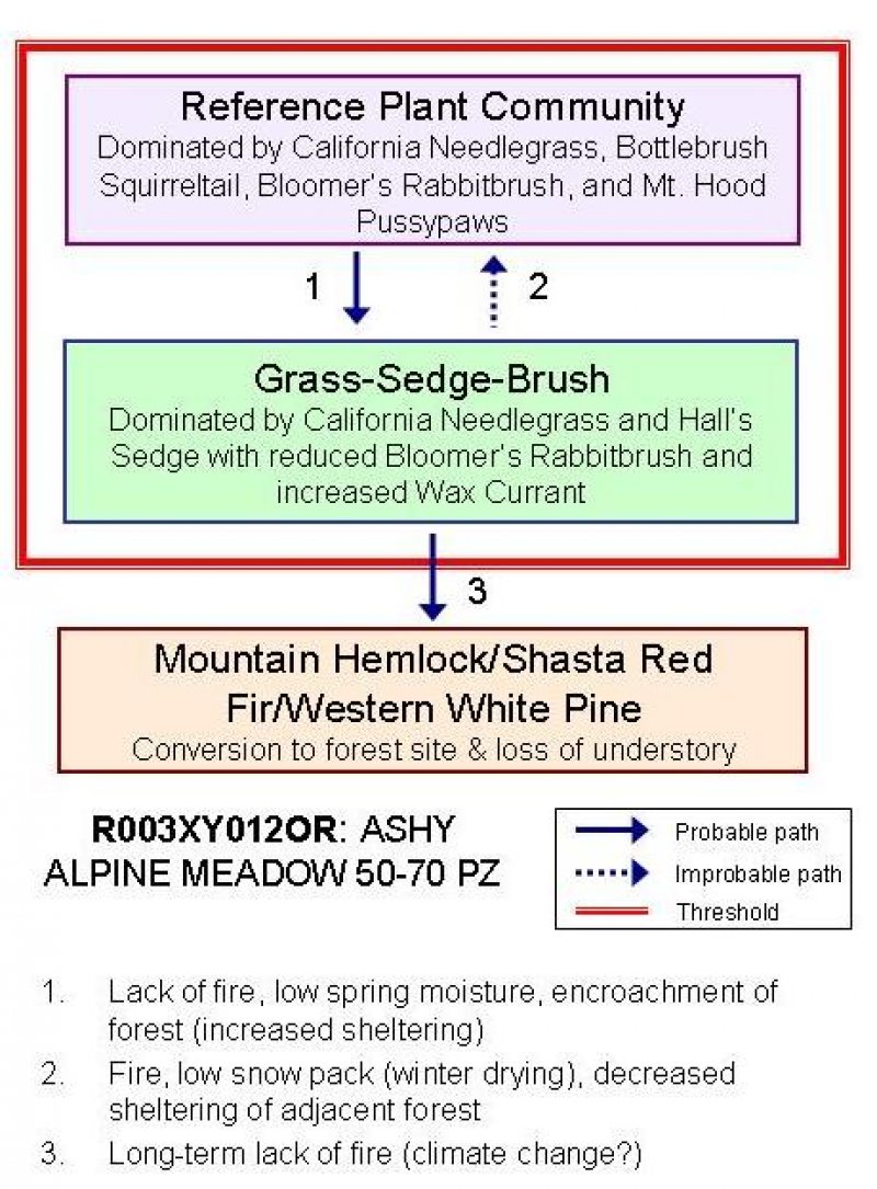 Model diagram