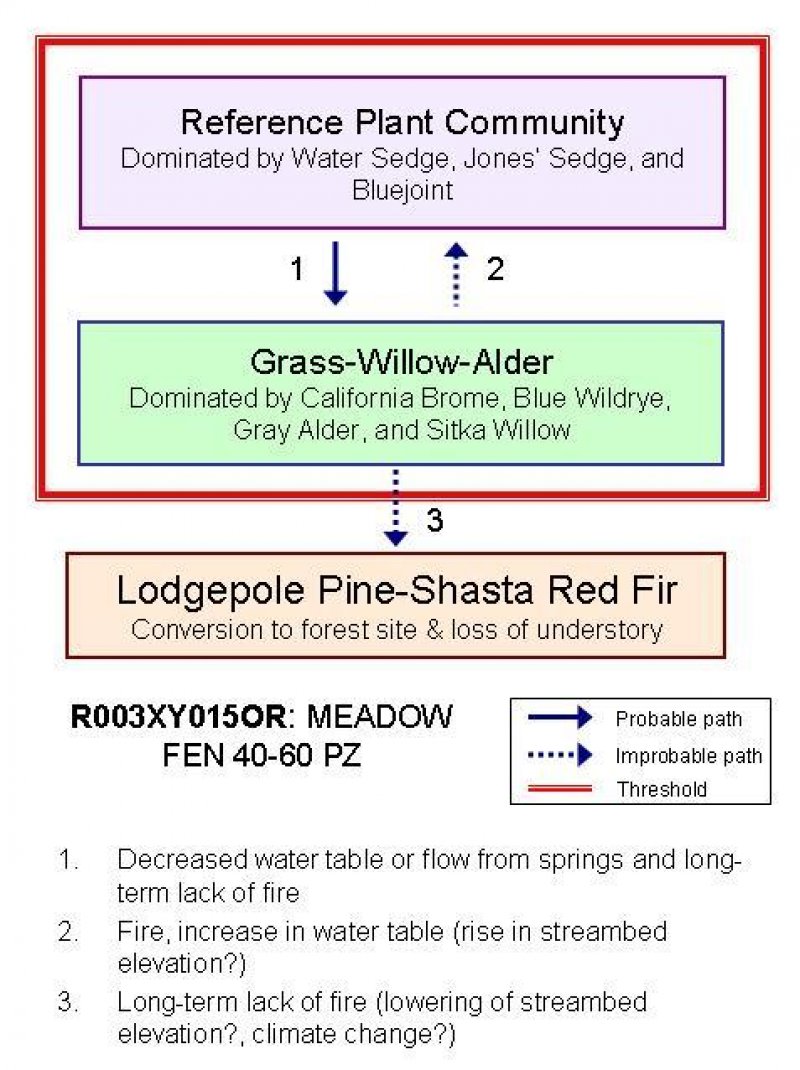 Model diagram