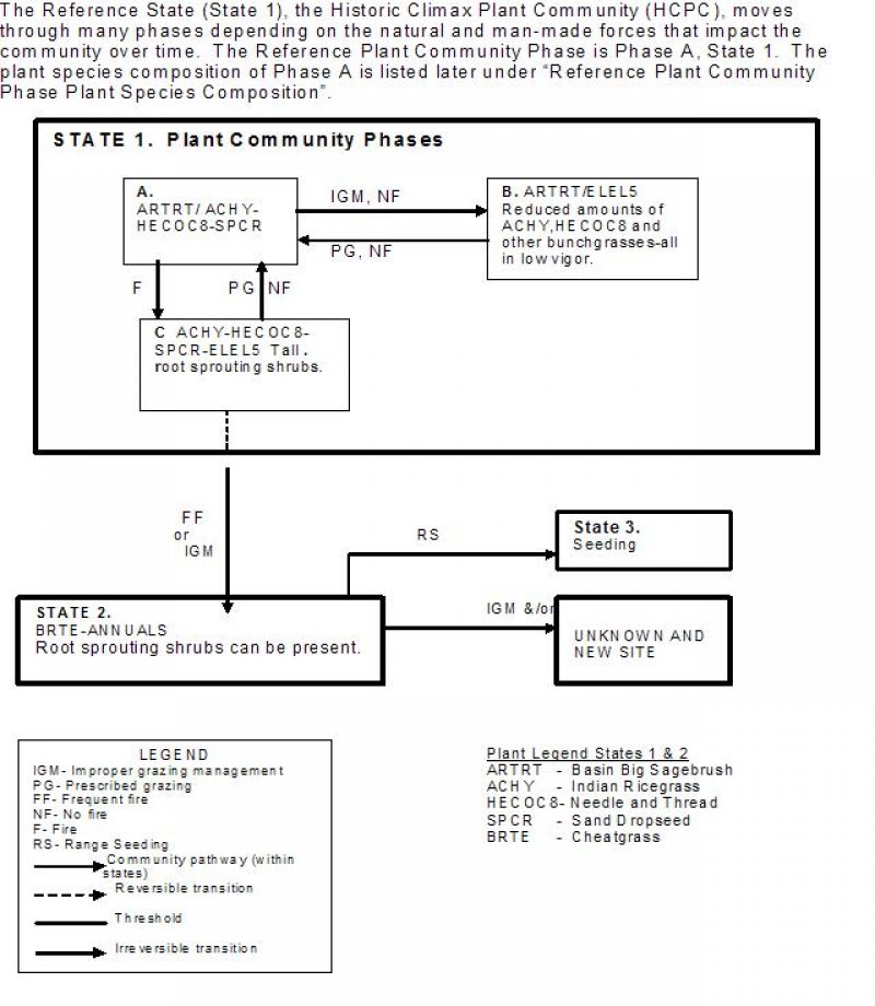 Model diagram