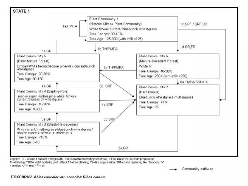 Model diagram
