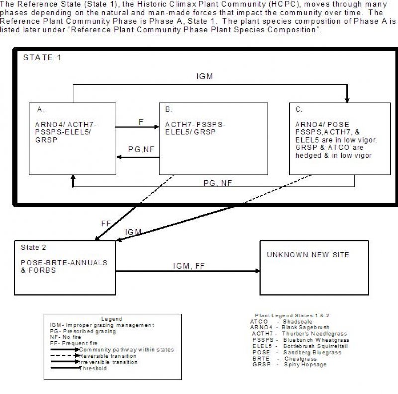 Model diagram