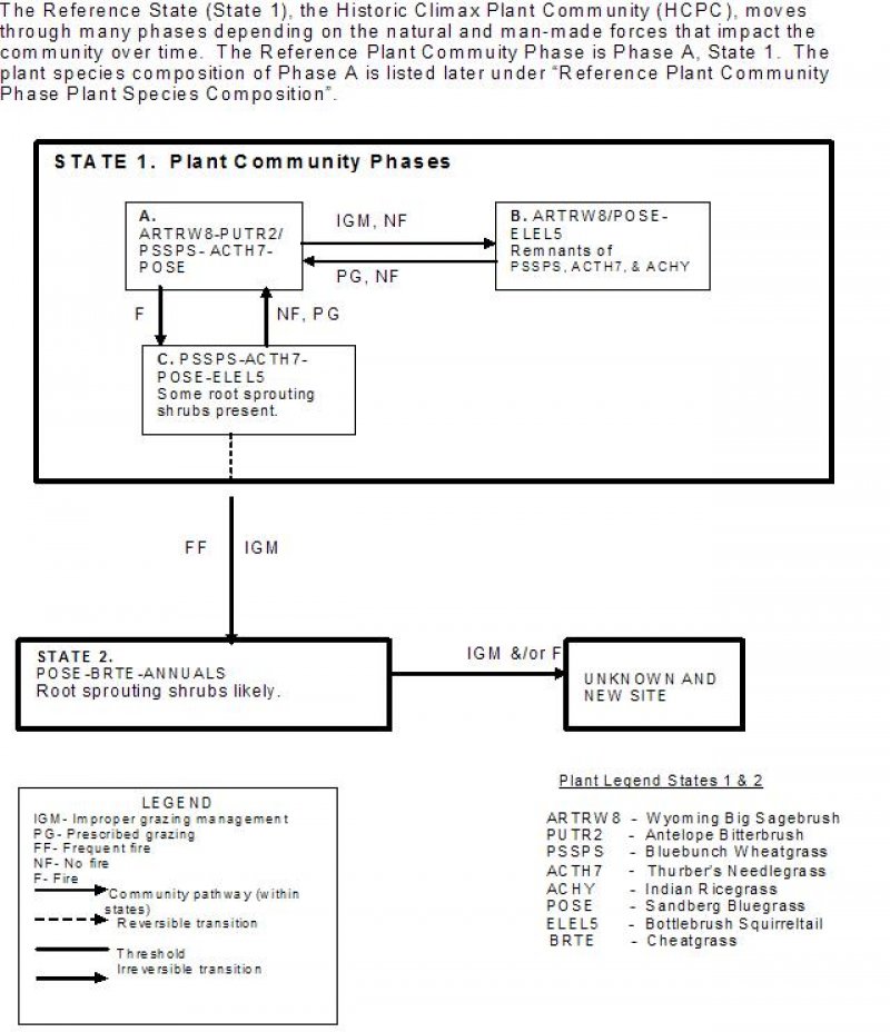 Model diagram