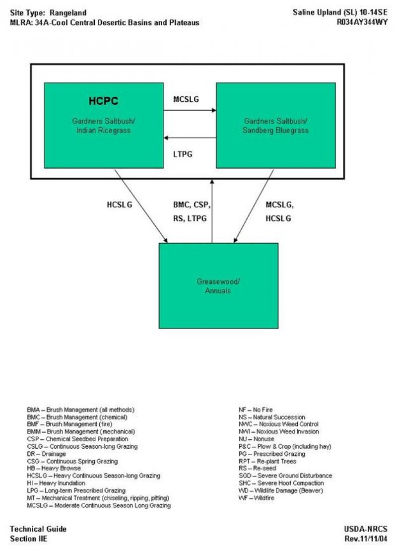 Model diagram