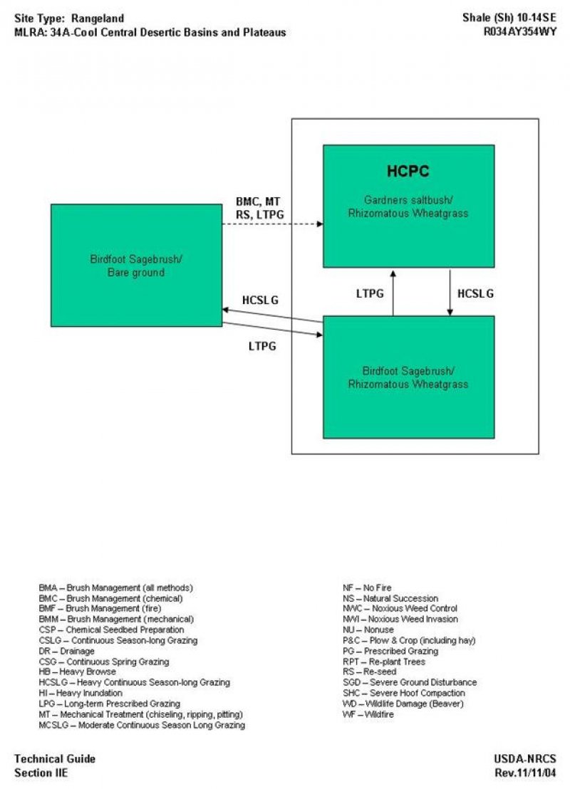 Model diagram