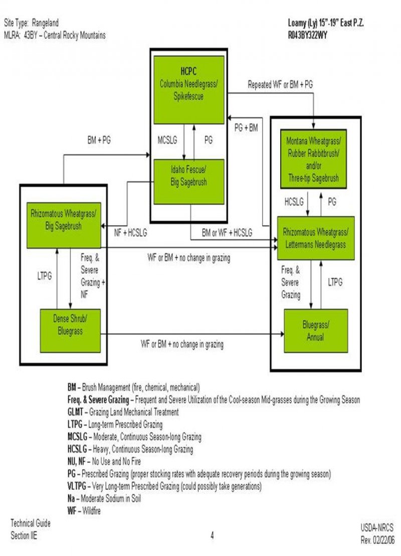 Model diagram