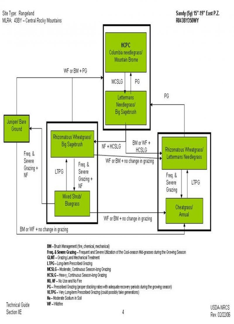 Model diagram