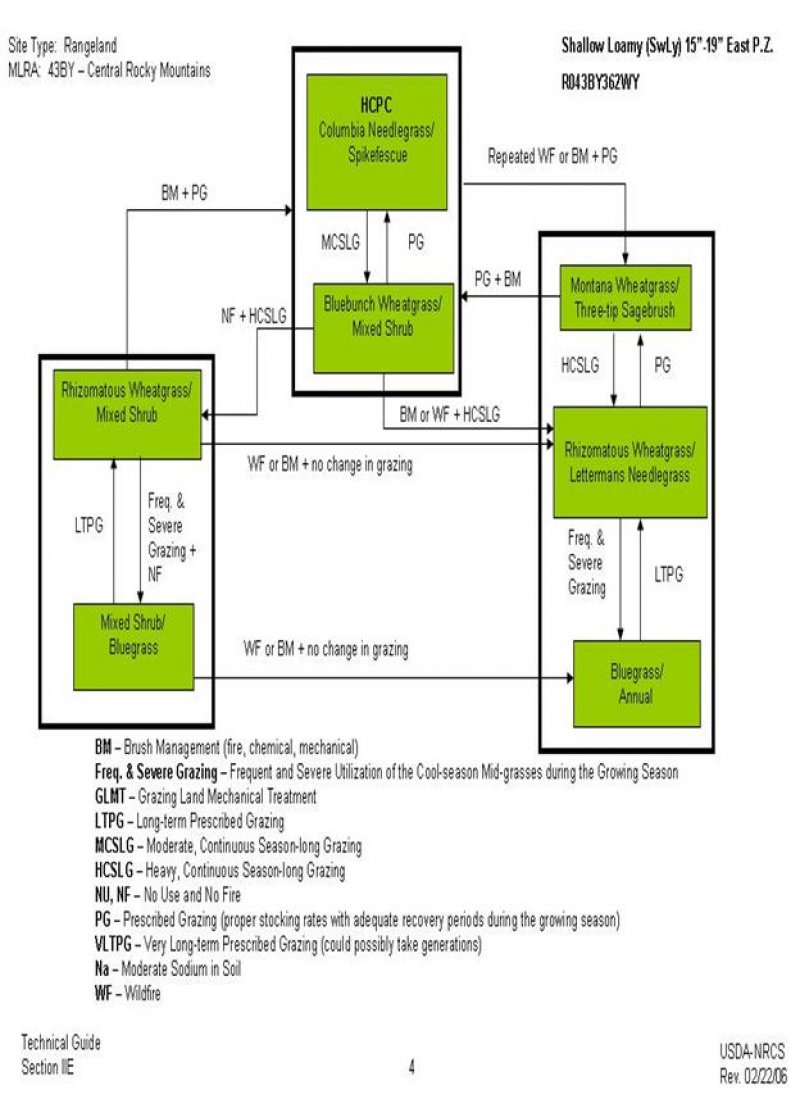 Model diagram