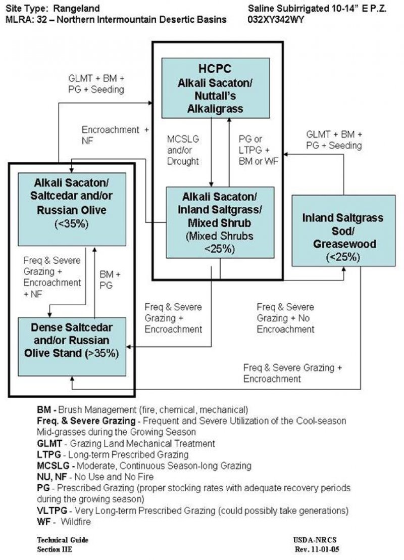 Model diagram