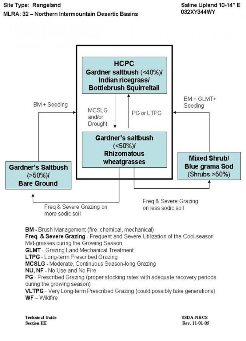 Model diagram