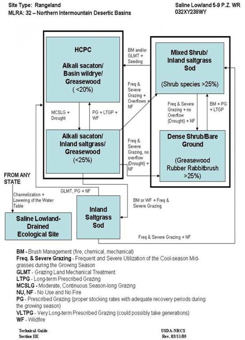 Model diagram