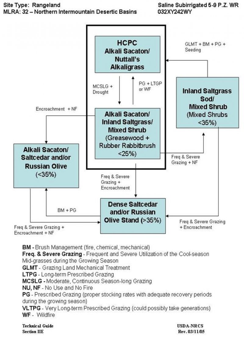 Model diagram