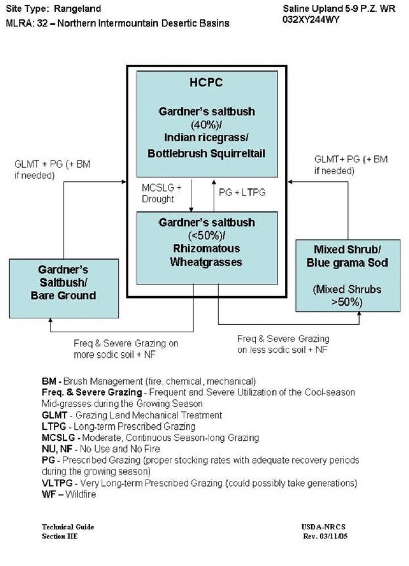 Model diagram